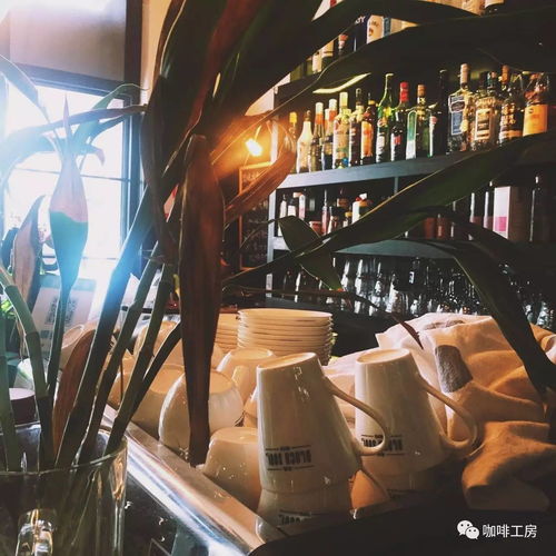 不要错过真爱 这些精品咖啡馆,才是你的真爱