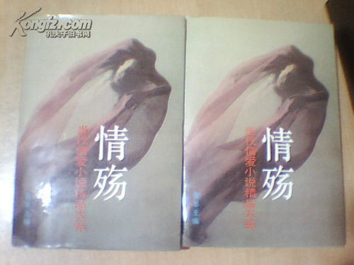 情殇 当代情爱小说精品大系 a卷 b卷 共计2本