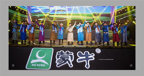 蒙牛集团个人领导纪念册封面图片欣赏