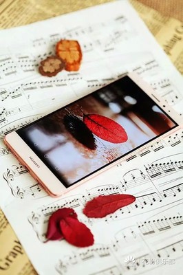 玫瑰金与女王更配——华为Mate S花粉俱乐部爱情特辑